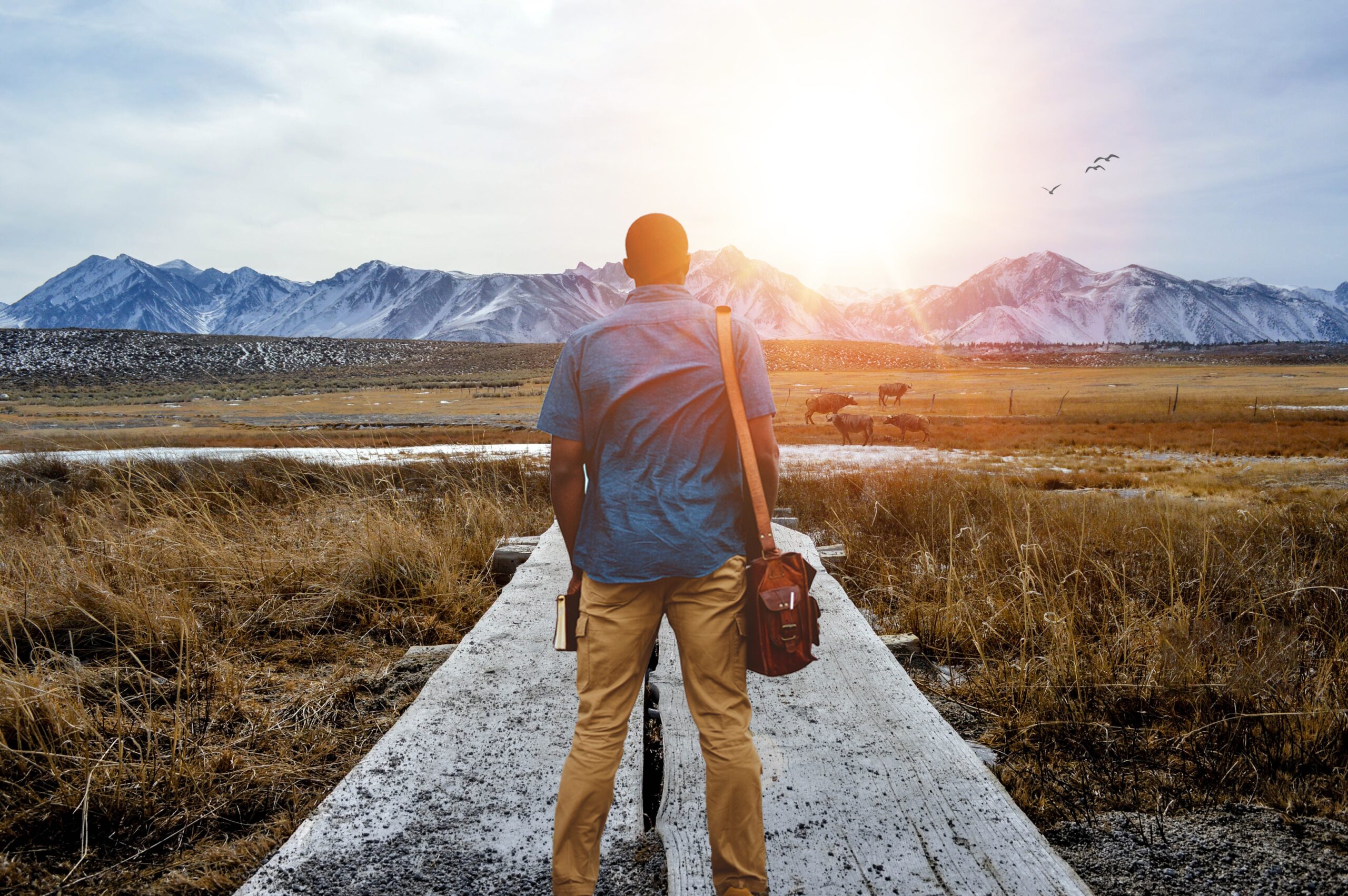A shallow focus from behind of a male standing on a pathway in the middle of a grassy field with mountains in the distance
